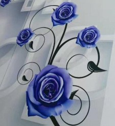 Digital Printed Glass
